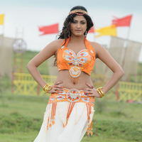 Haripriya Exclusive Gallery From Pilla Zamindar Movie | Picture 101913